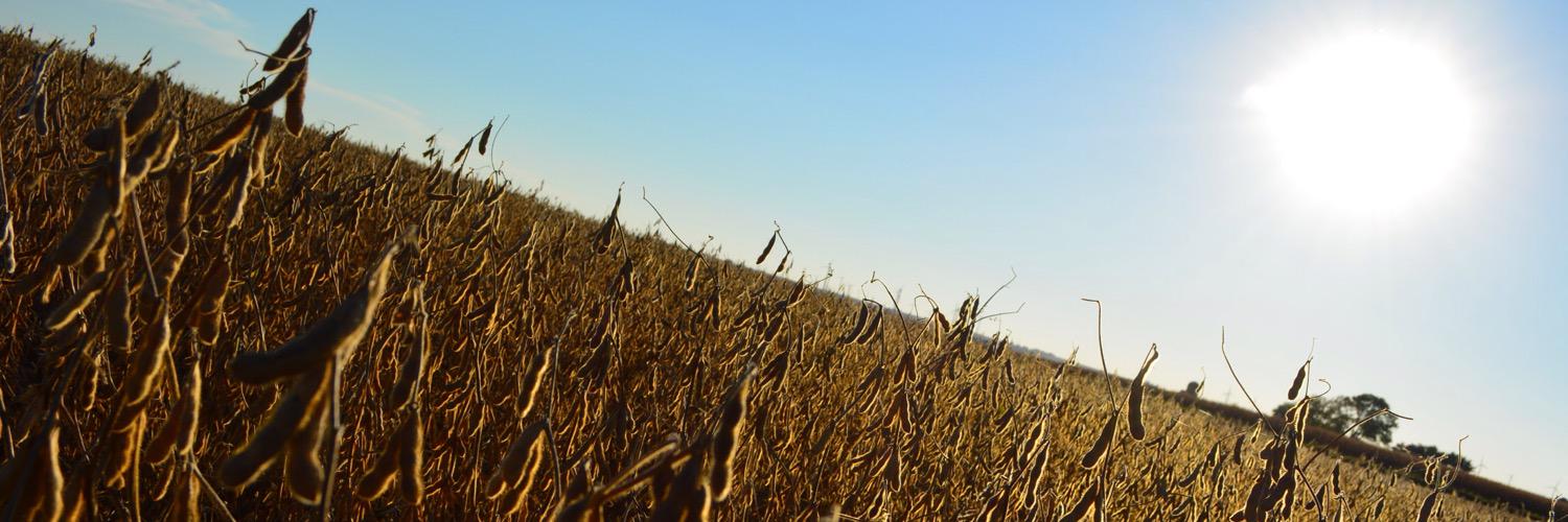 MonierMark's profile banner image