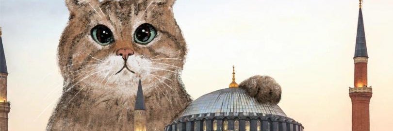 Aysenur 🌈🐝🐛🦗 banner