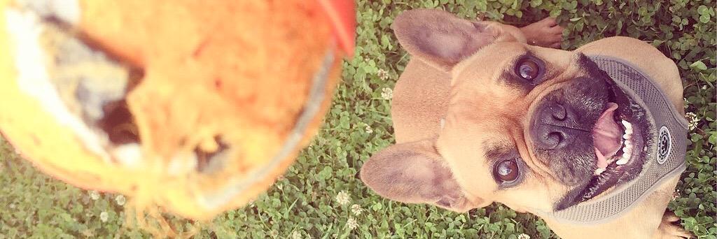 drleannerimmer's profile banner image