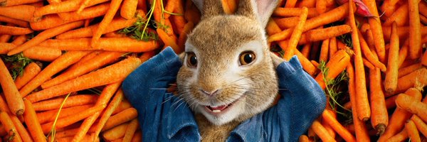 FlywithGee Profile Banner