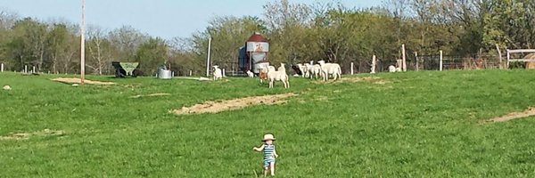 farmwives Profile Banner