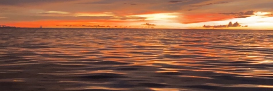 sergioelcrespo's profile banner image