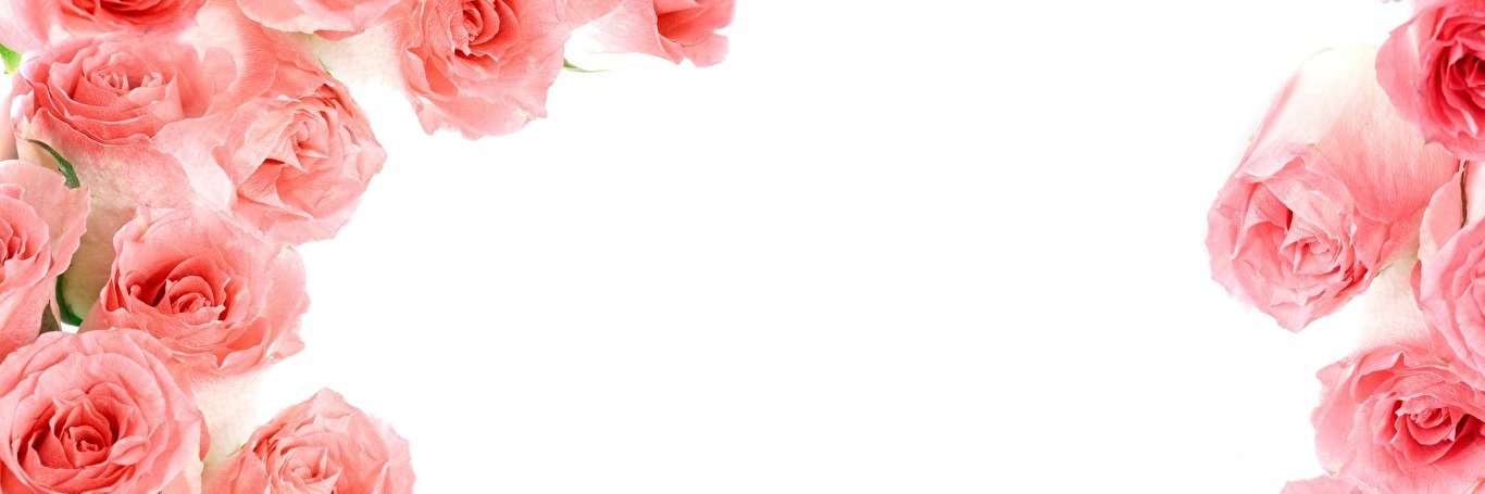 MBW94's profile banner image