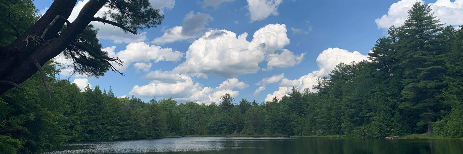 tiarahoodable's profile banner image