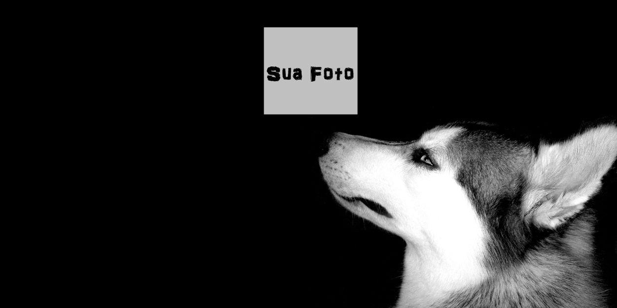 wtf_vini's profile banner image
