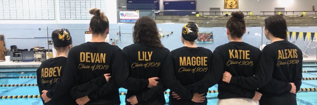 Hornet Aquatics banner