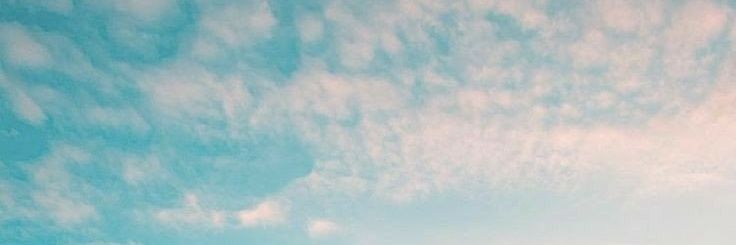 Zombfhie's profile banner image