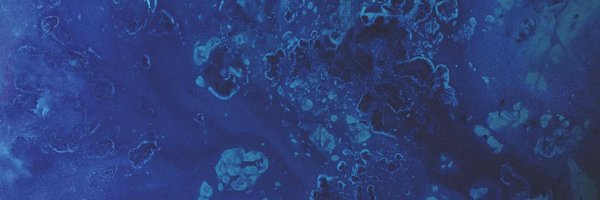 fwstda Profile Banner