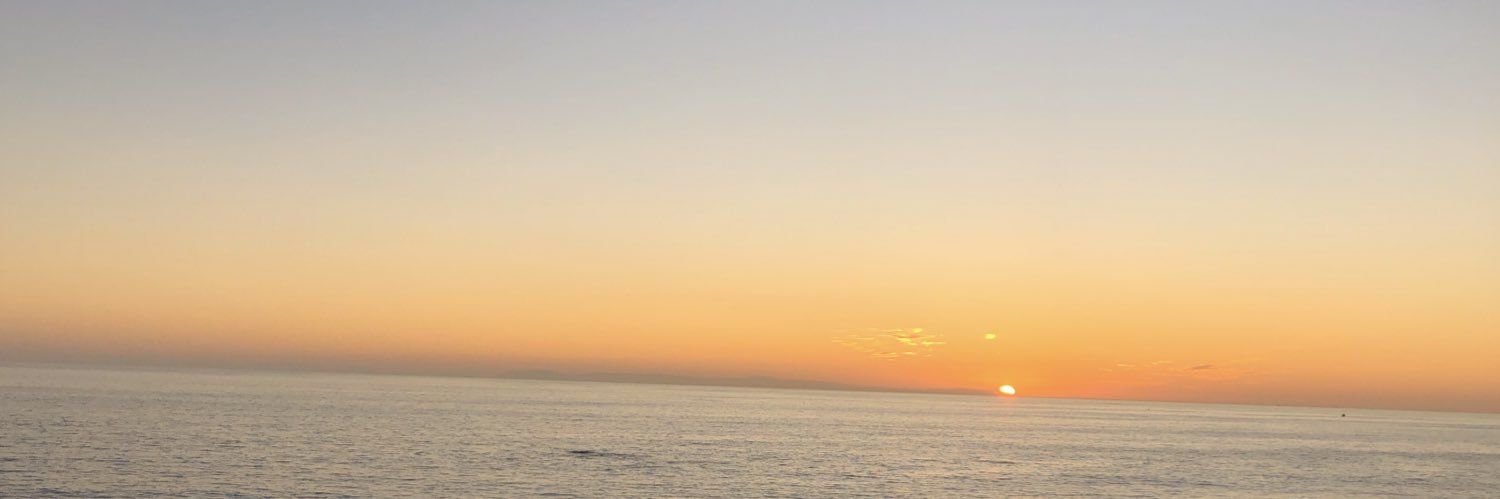 malloryjul's profile banner image