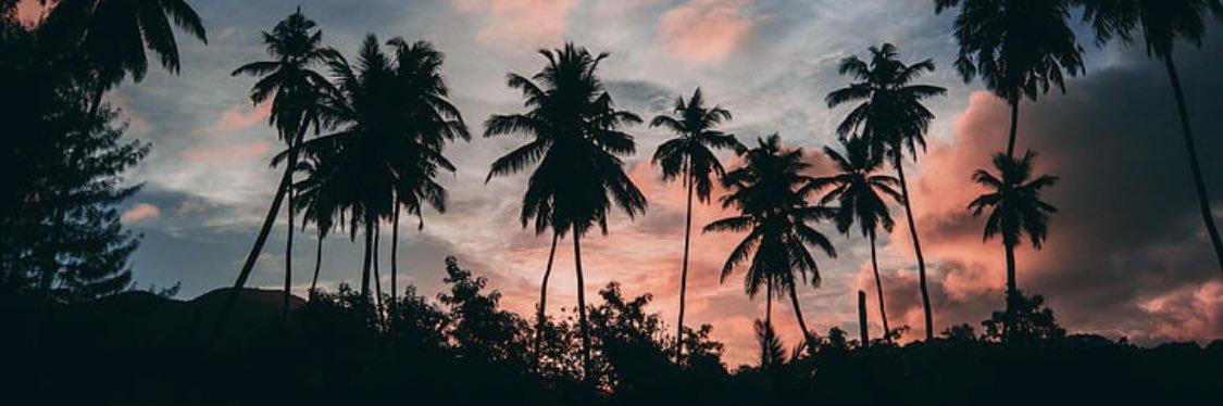 hank_lemons's profile banner image