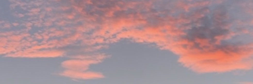 heycarolineeeee's profile banner image