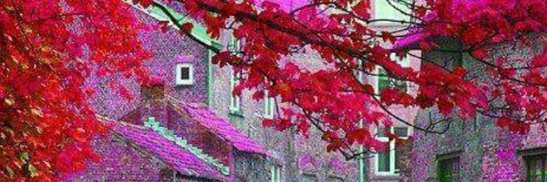 berrin_erdem's profile banner image