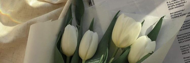 ICremers's profile banner image