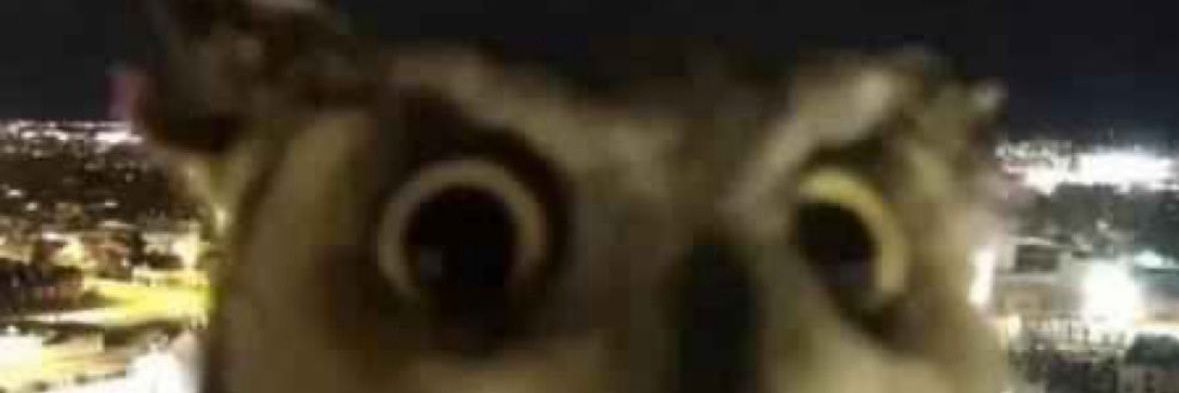rodri9o91's profile banner image