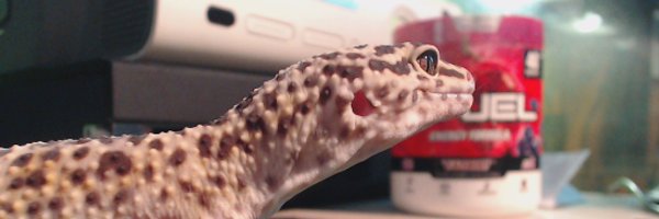 zDeviin Profile Banner