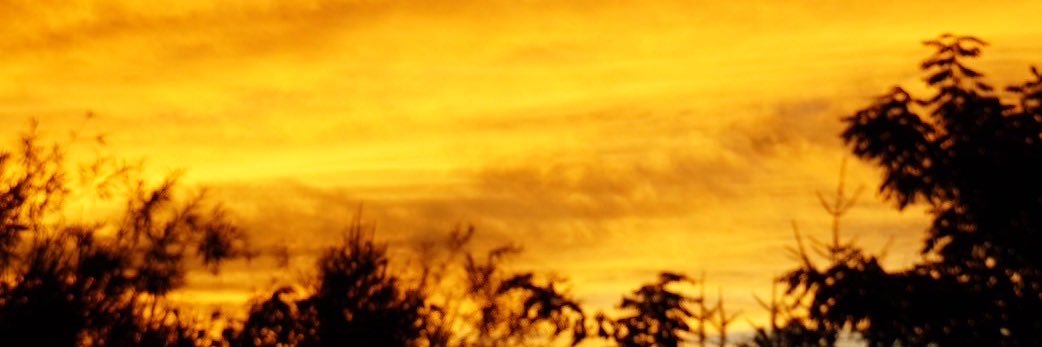 akki0202's profile banner image