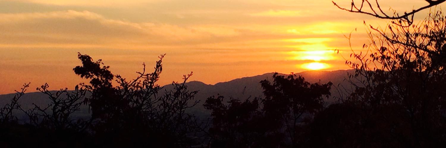 m53696461's profile banner image