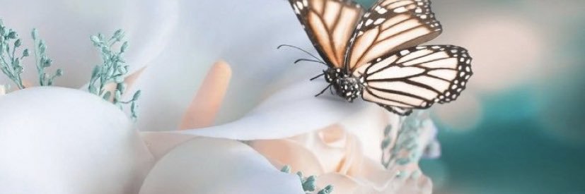 𝒮𝓀𝓎𝓁𝑒𝓇 𝒩𝑜𝓁𝒶𝓃 banner
