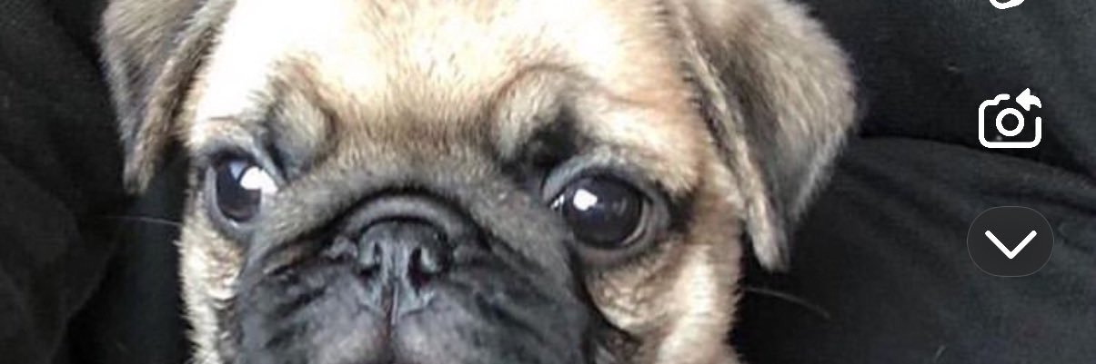 BurrowsBabe14's profile banner image