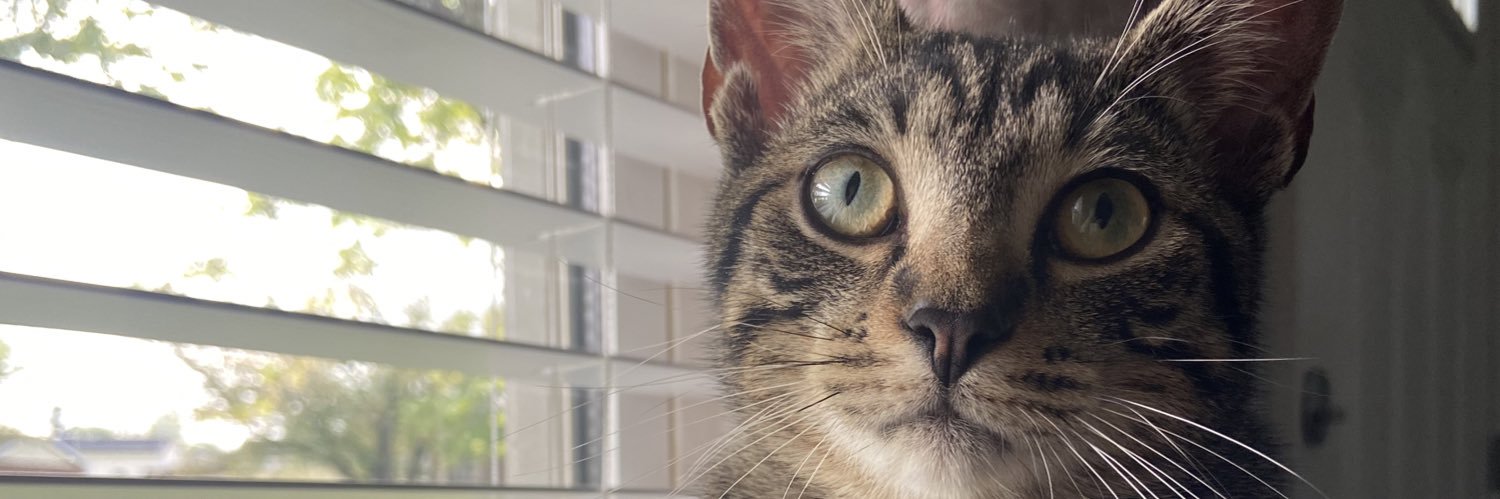 BurnettChandra's profile banner image