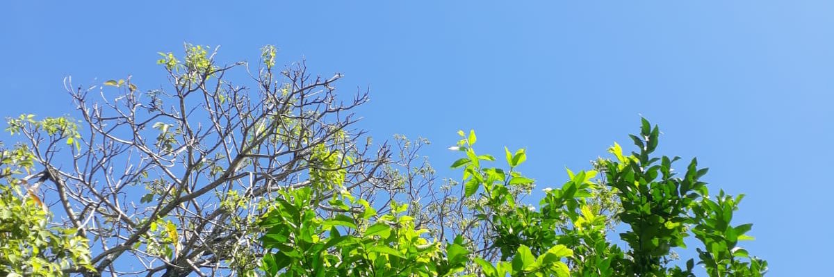 bibizescx's profile banner image