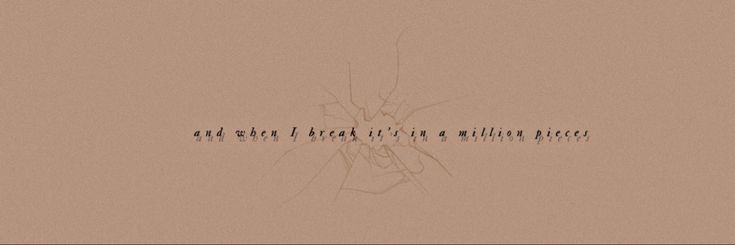 velcharm's profile banner image