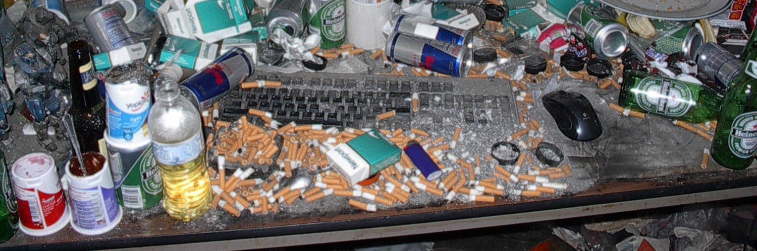 shoshana wodinsky (she/her) banner