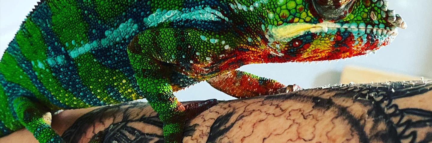 howdyshay's profile banner image