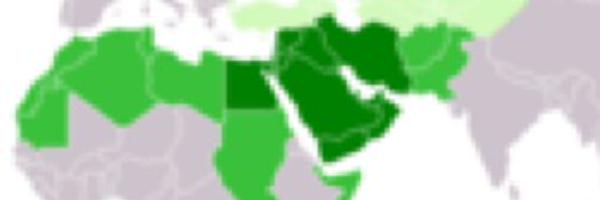 PNvid Profile Banner