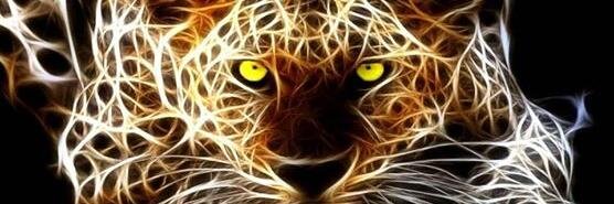 JenJenBrashear's profile banner image