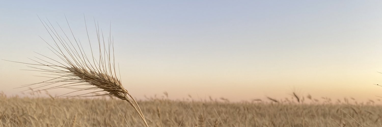cata_ise's profile banner image
