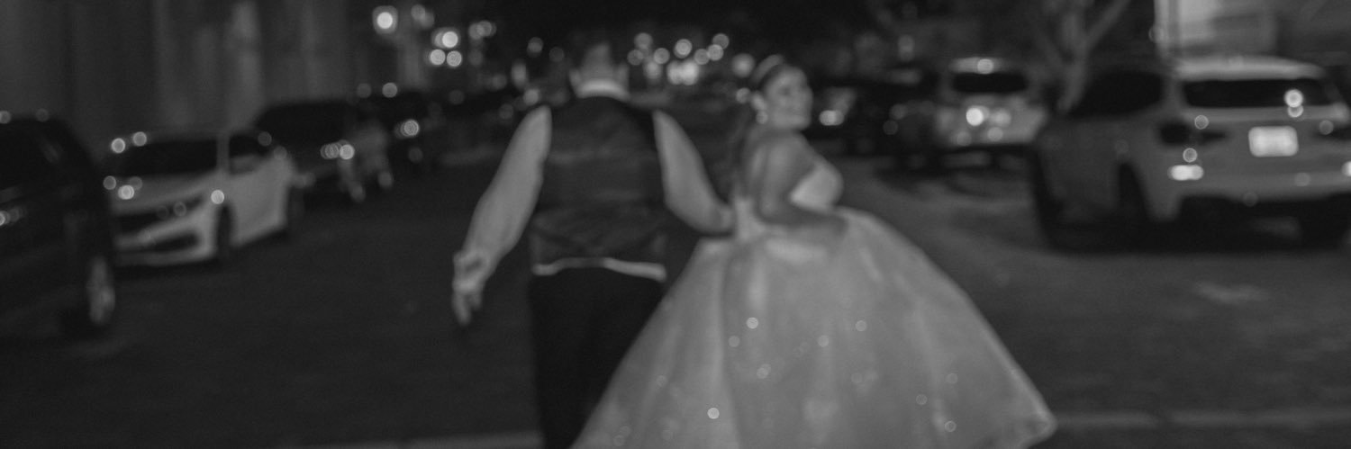 L E X I ✨🤍 banner