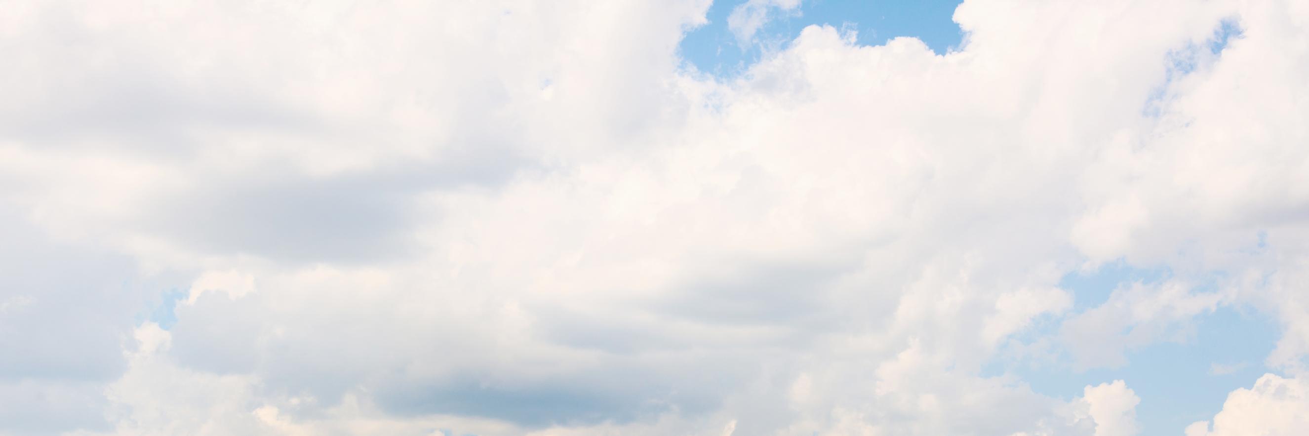 FelisClub's profile banner image