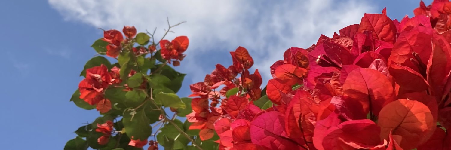 van_ruaff's profile banner image