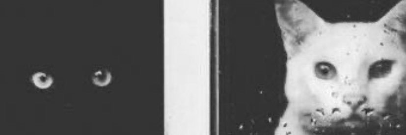 a_brahamsg's profile banner image