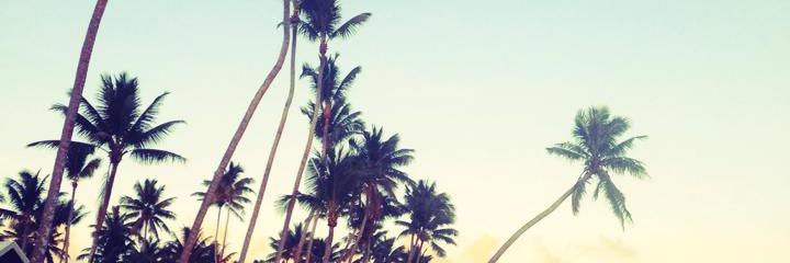 StaceyCWilson's profile banner image