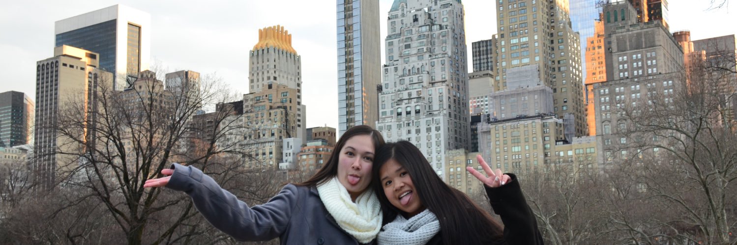 the_asiannn's profile banner image