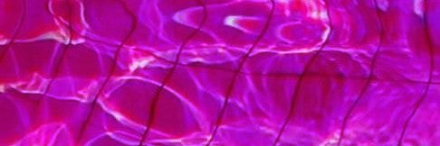 Emilio. banner