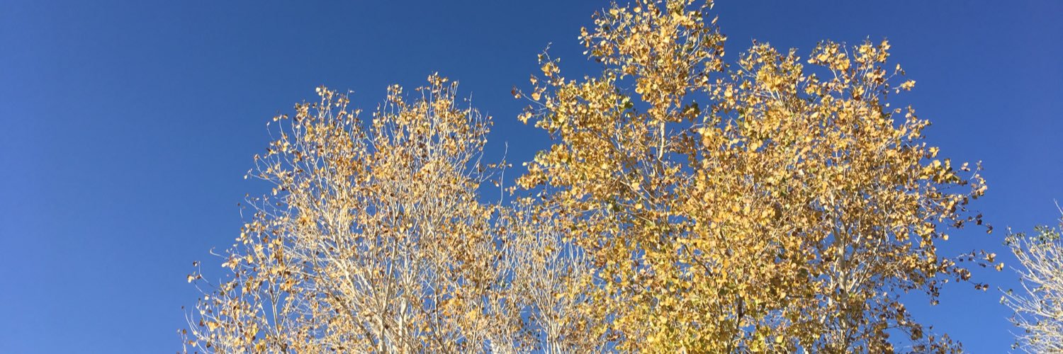 onehourfromnow's profile banner image