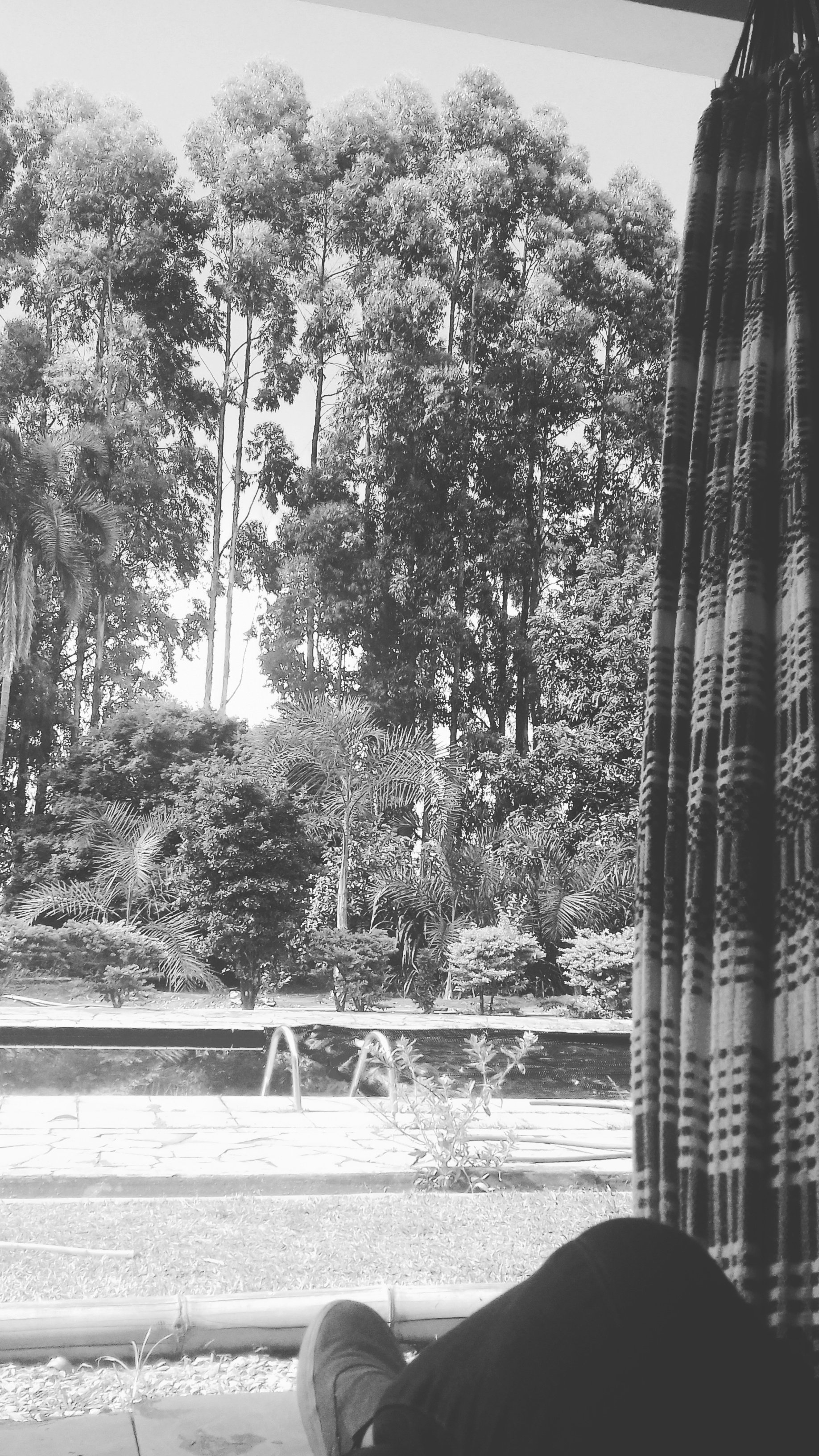MariaCordova_'s profile banner image