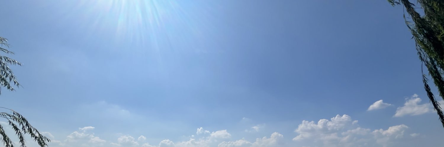 juneflour's profile banner image