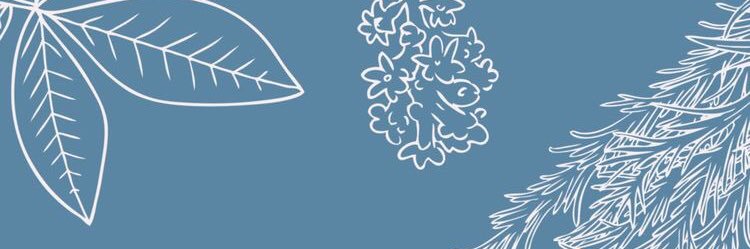 Montse Jiménez R banner