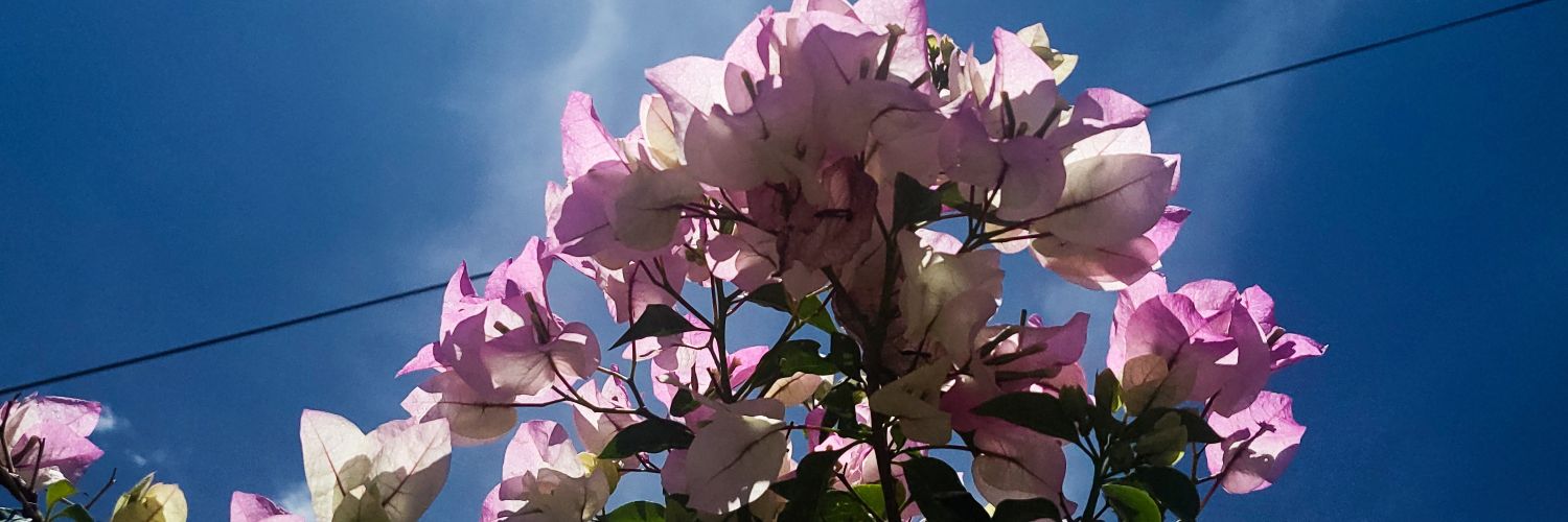 Nad_ius's profile banner image