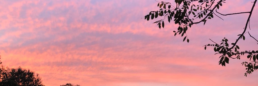 AnaKcantero's profile banner image