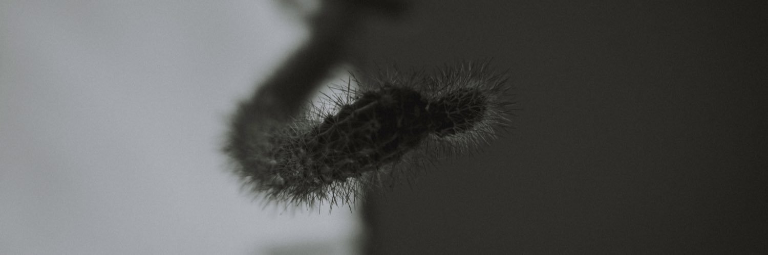 literauro's profile banner image