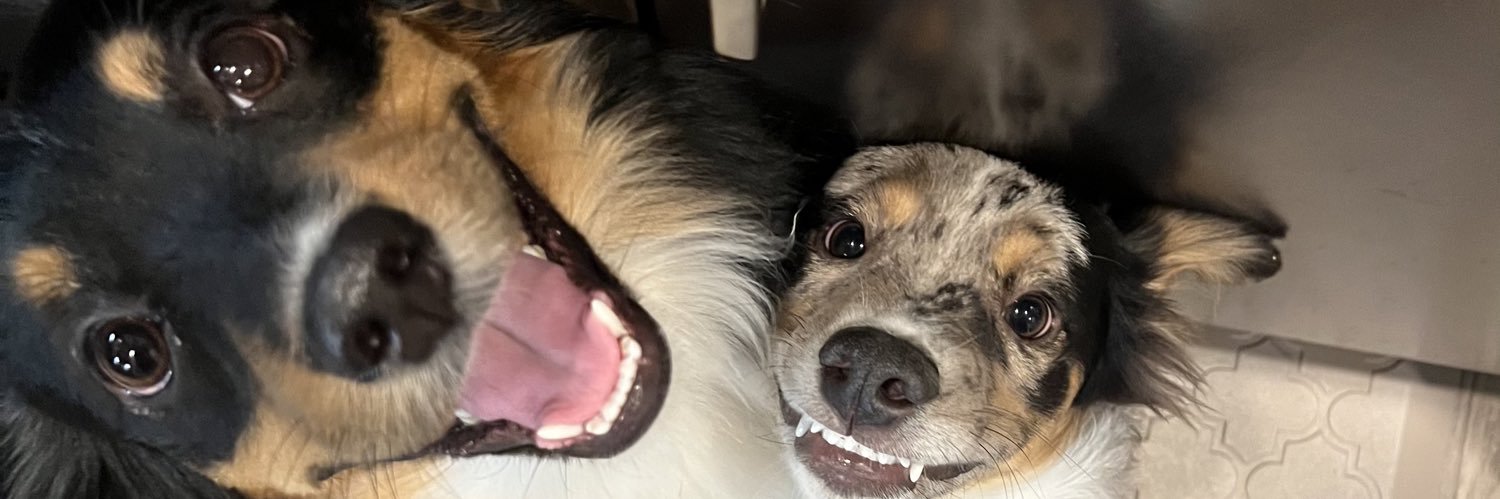 shayleexox's profile banner image