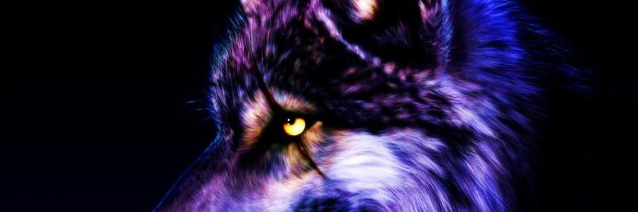 CharlieF87352's profile banner image