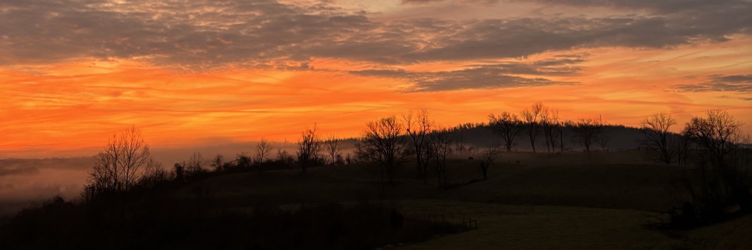 McCallMeHaley's profile banner image