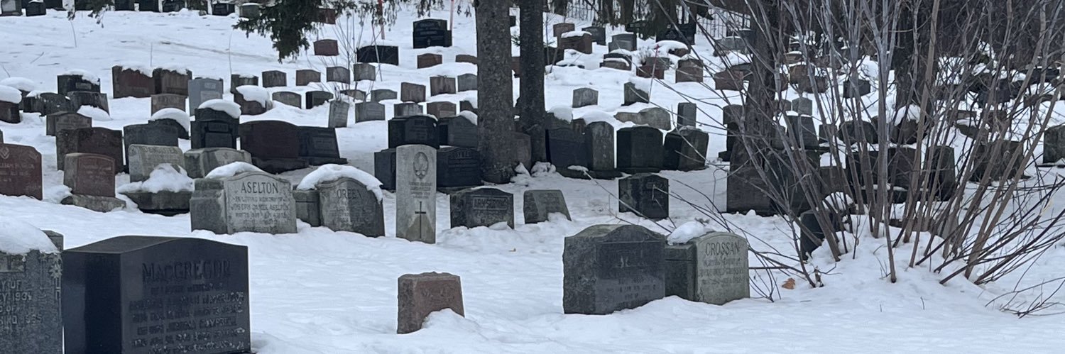 craigslistdom's profile banner image