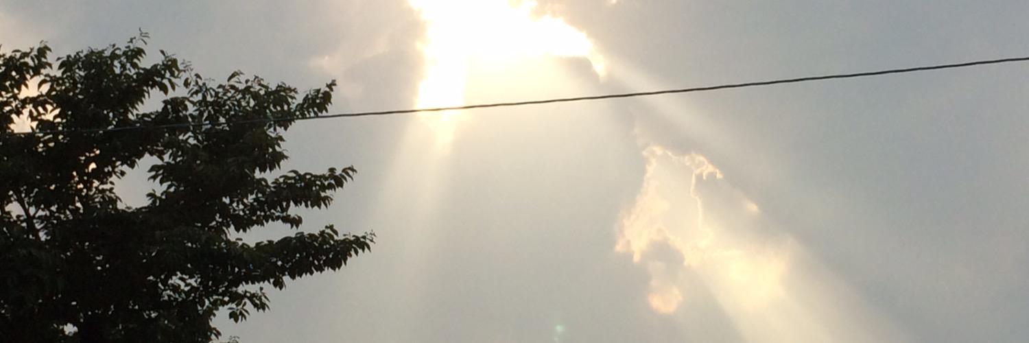 bittersweetday7's profile banner image